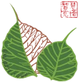 Fujian  Huamo  Tehnoloģija  Co.,  SIA